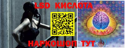 индика Новозыбков